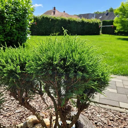 Nyaraló Allone Lenti